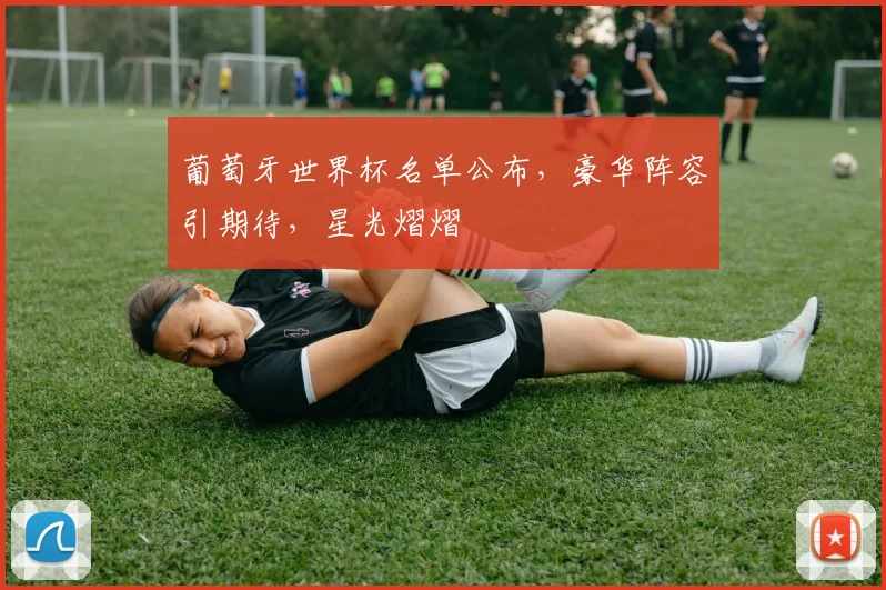 葡萄牙世界杯名单公布，豪华阵容引期待，星光熠熠