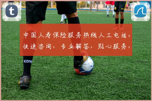 中国人寿保险服务热线人工电话，快速咨询，专业解答，贴心服务，三分钟内接通