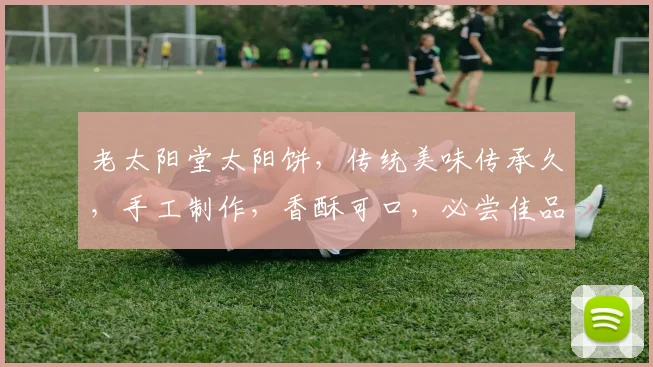 老太阳堂太阳饼，传统美味传承久，手工制作，香酥可口，必尝佳品，三重口感惊喜连连。